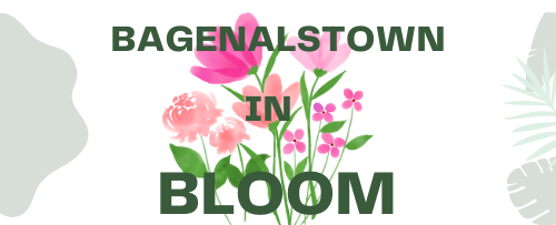 Bagenalstown-in-Bloom-Logo-e1715679228904